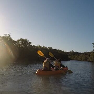 770168FE-6CC4-4327-ADF4-29F17E11A9FE