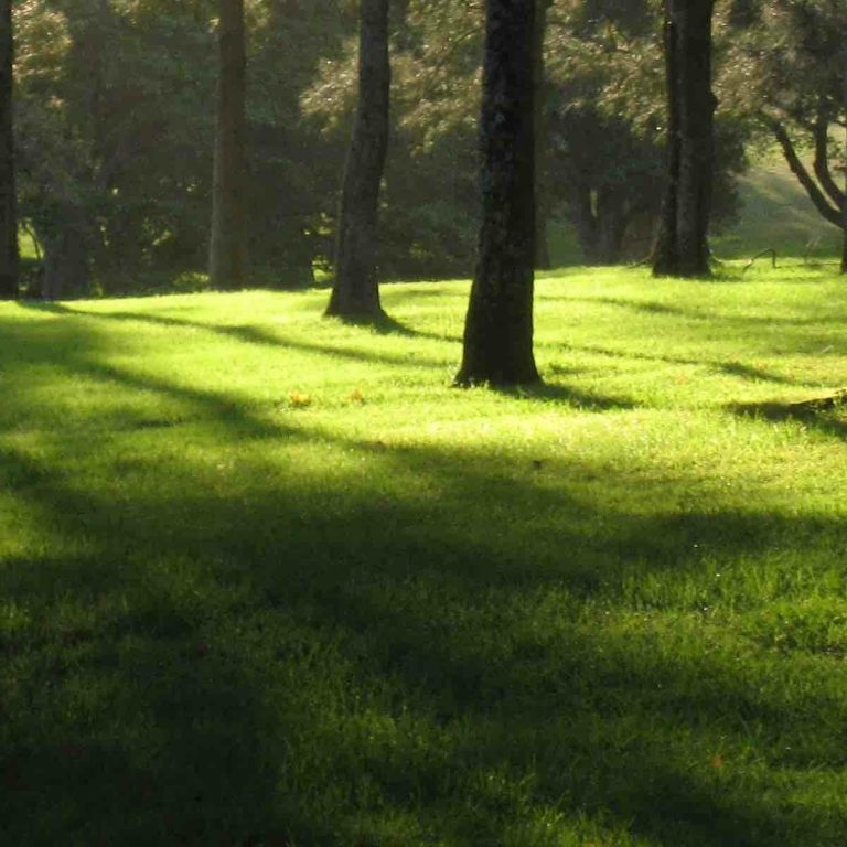 Self-regulationwebsiteblog