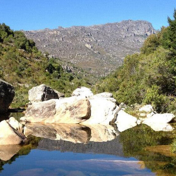 Mindfulness Based Psychotherapy